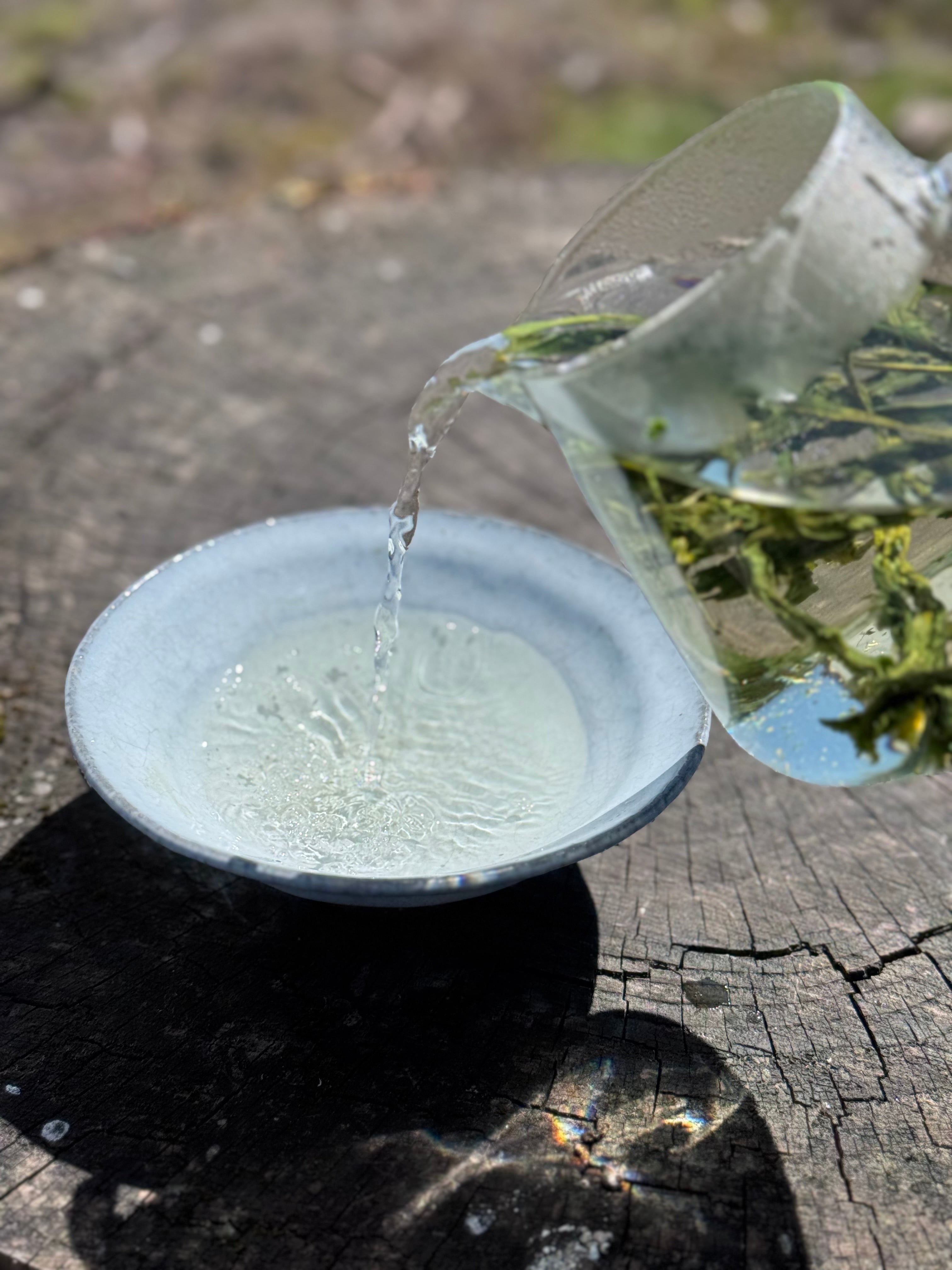 TAIPING HOUKUI (Monkey King) | Pre Qing Ming Green Tea - O-FIVE RARE TEA BAR