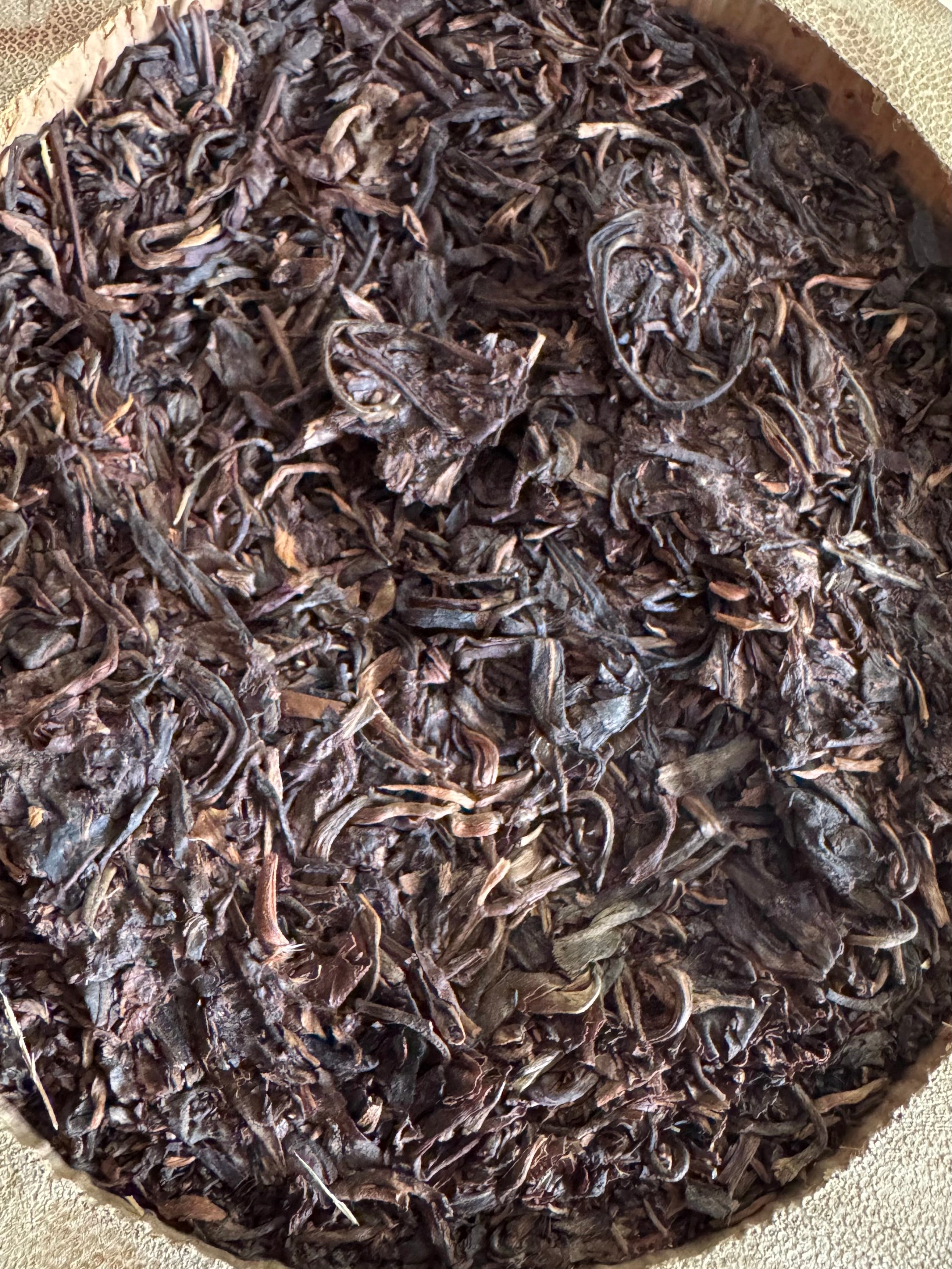 MIST & MEMORY | Dragon Bamboo Aged, 2006 Raw Pu Er - O-FIVE RARE TEA BAR