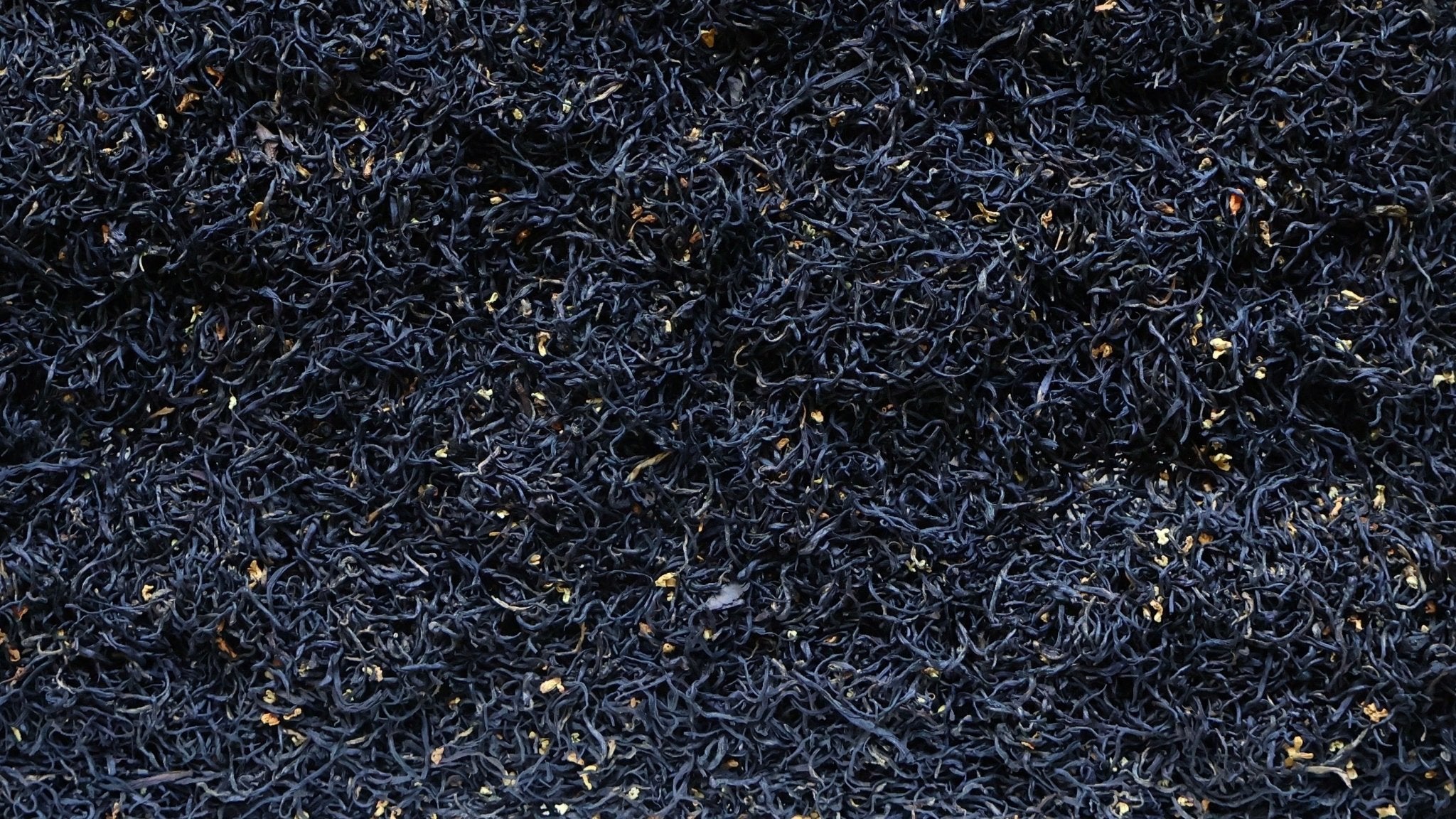 BLOSSOM BREEZE | Osmanthus Zisun Black Tea - O5 RARE TEA BAR