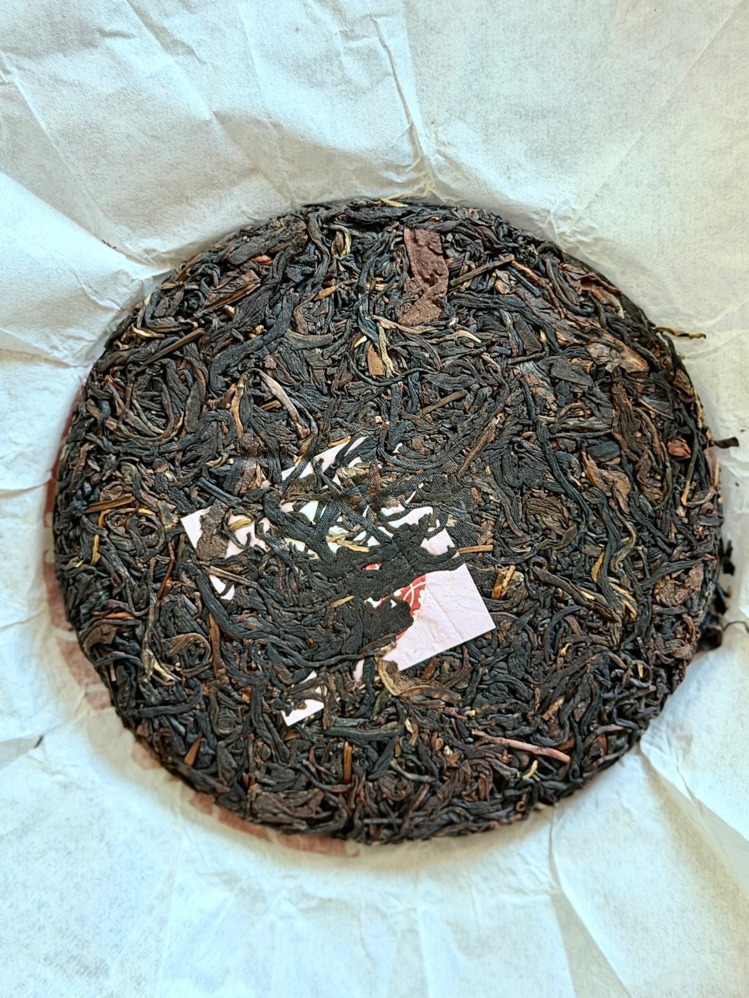 DA YOU, DANGEROUSLY DRINKABLE | 2023 Fengqing Ancient Tree Black Tea - O5 RARE TEA BAR