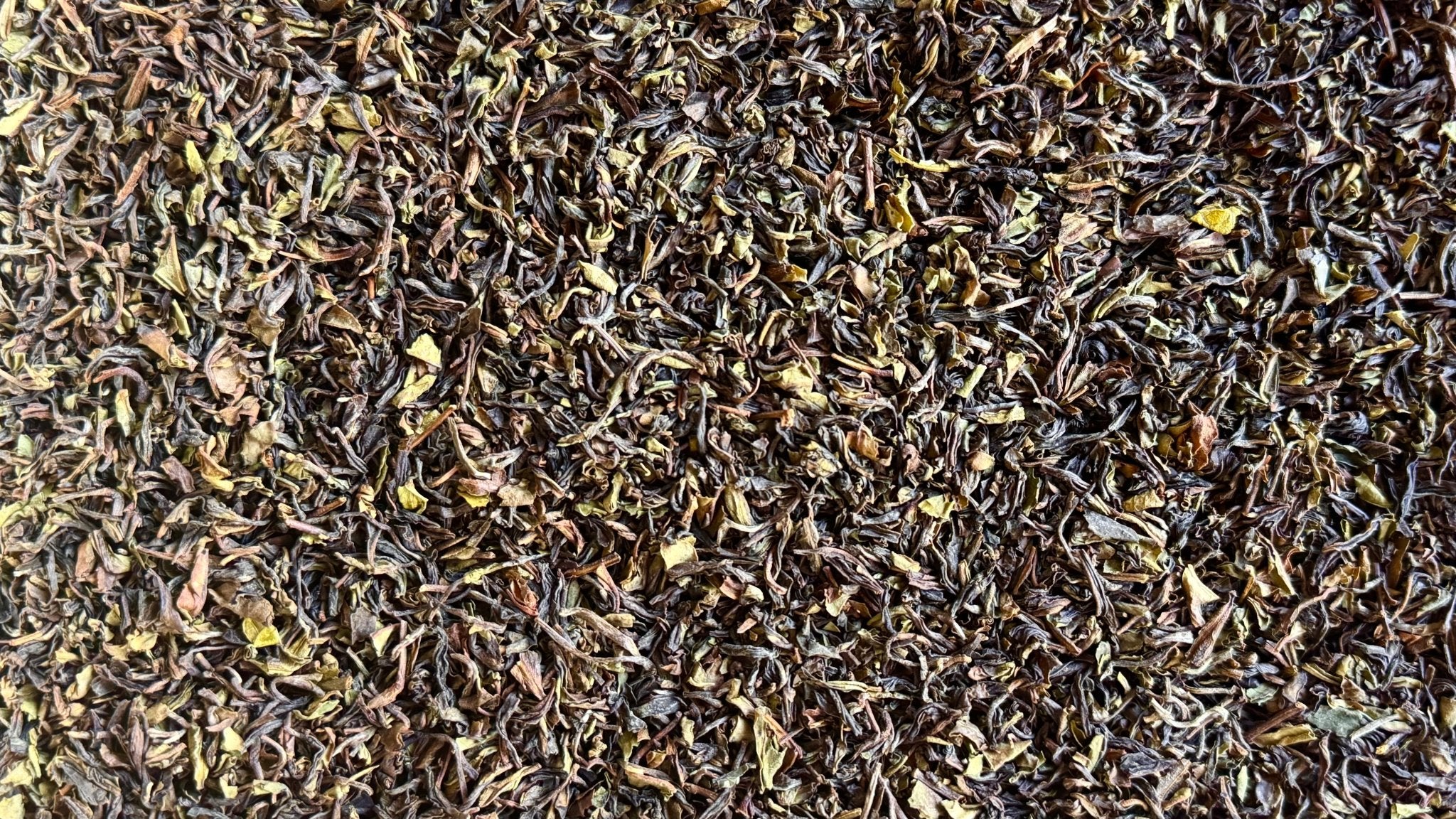 DARJEELING COLLECTION | Select Estates, 2025 First Flush - O5 RARE TEA BAR