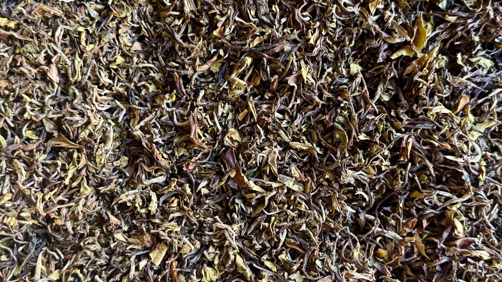 DARJEELING COLLECTION | Select Estates, 2025 First Flush - O5 RARE TEA BAR