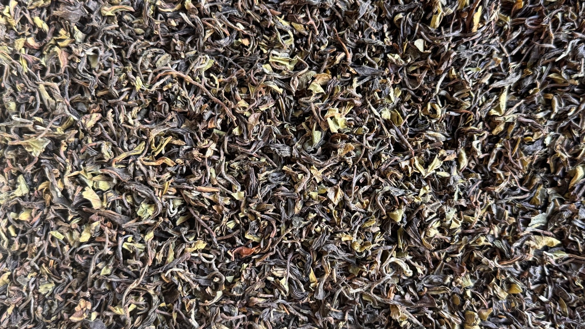 DARJEELING COLLECTION | Select Estates, 2025 First Flush - O5 RARE TEA BAR