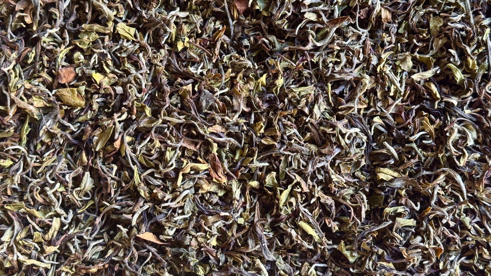 DARJEELING COLLECTION | Select Estates, 2025 First Flush - O5 RARE TEA BAR