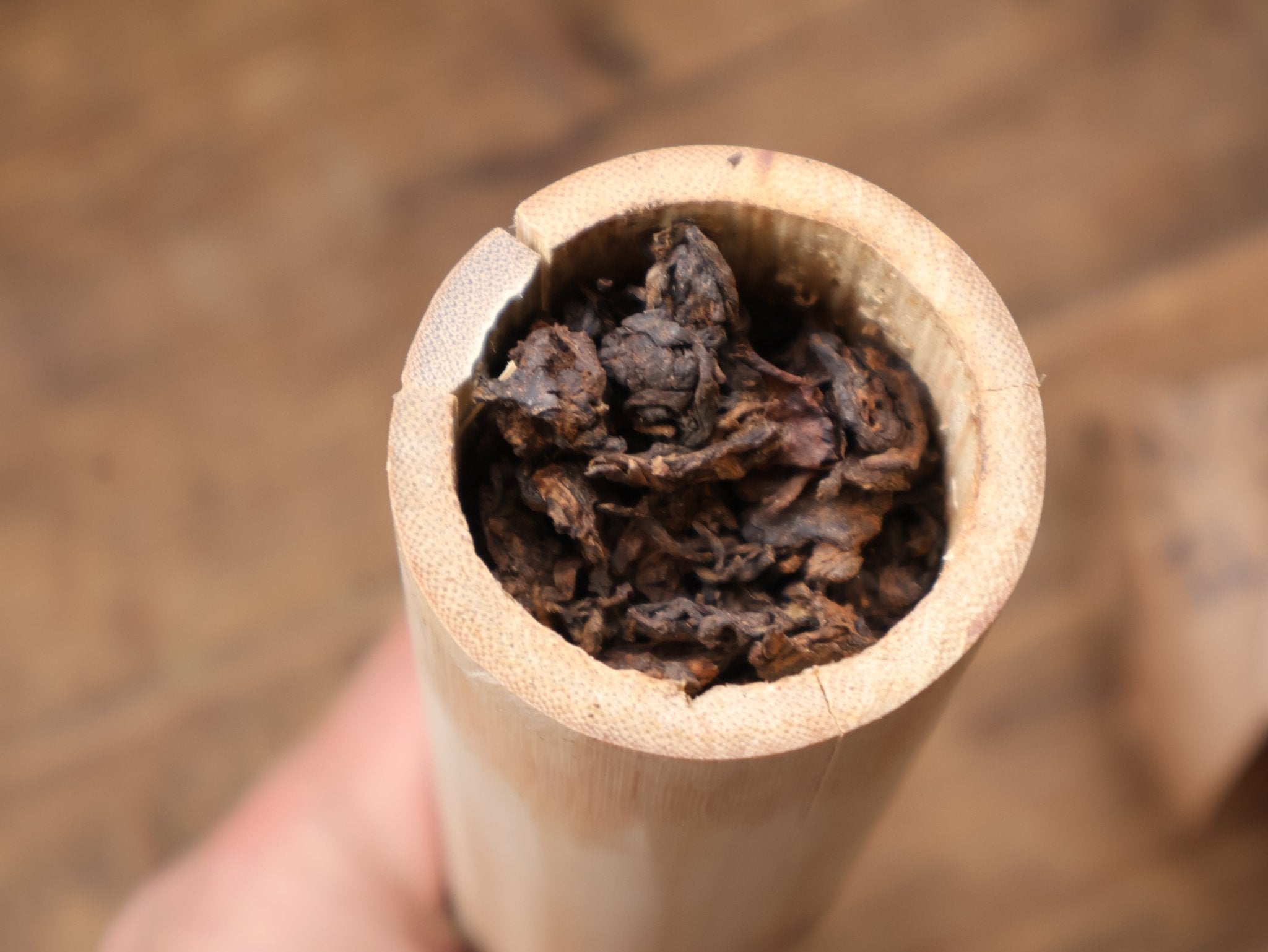 DATE DRIFT | Bamboo "Little Tea Heads" (Cooked) - O5 RARE TEA BAR