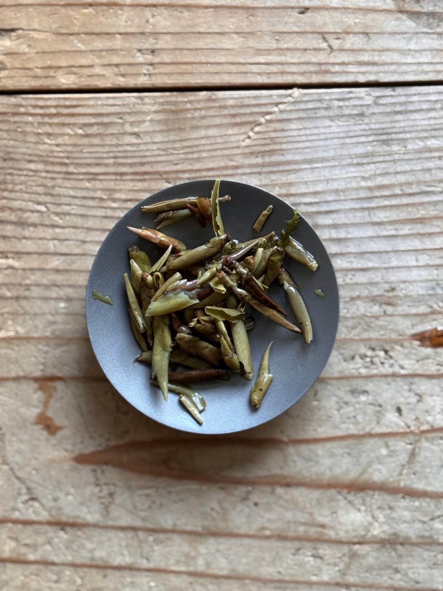 DRAGON CLAWS | Eau de Dragon, by TVL - O5 RARE TEA BAR