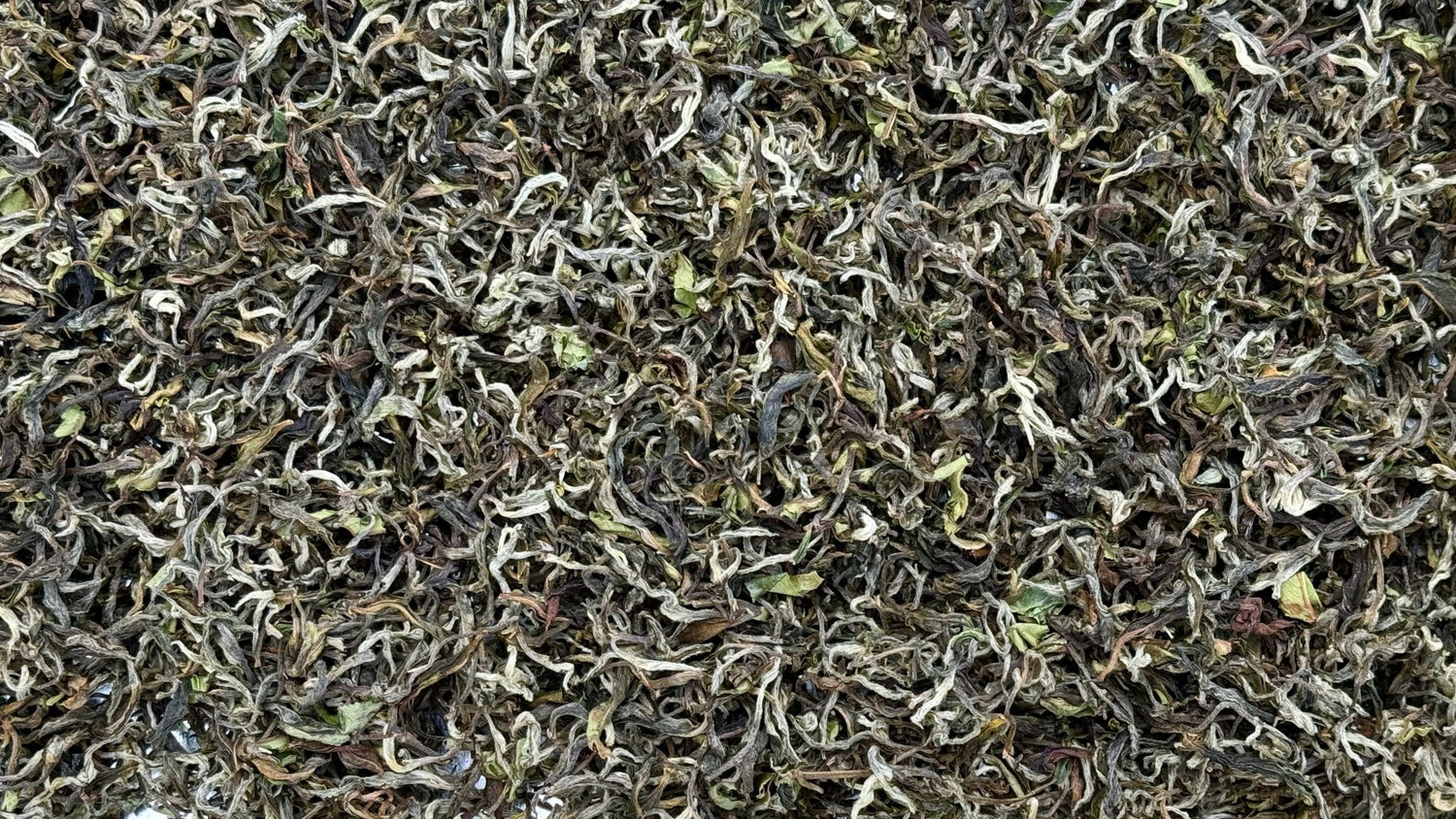 FLORA | ILAM (NEPAL) WHITE TEA, Himalayan Style White Tea, Darjeeling ...