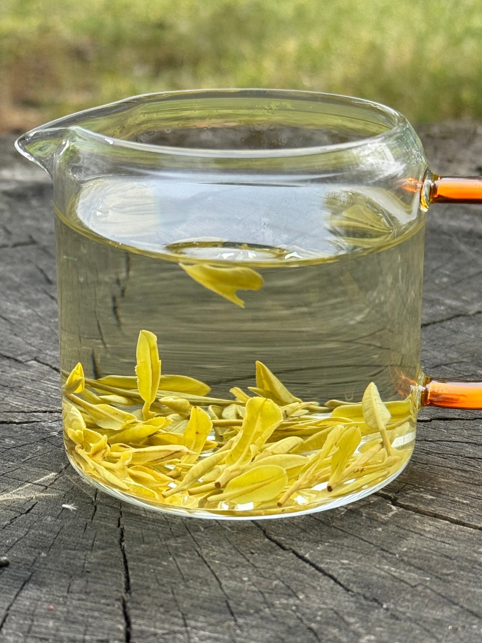 GOLDEN LEAF | Jin Zisun - 2026 - O5 RARE TEA BAR