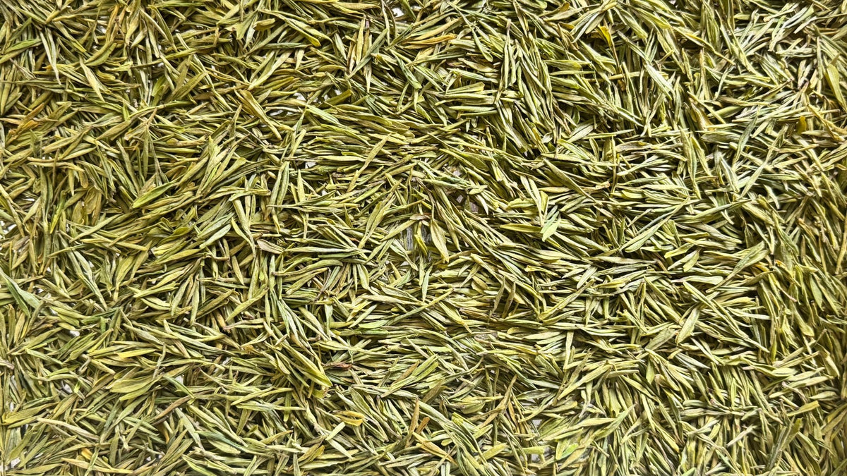 GOLDEN LEAF | Jin Zisun - 2026 | O5 RARE TEA BAR