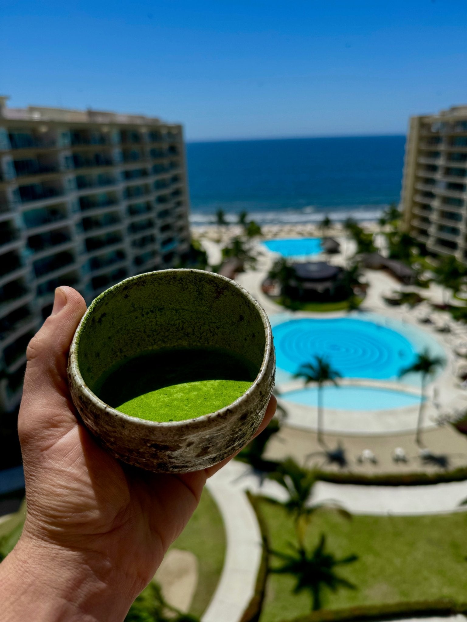 LAND OF THE GODS | IZUMO I-23 MATCHA - O-FIVE RARE TEA BAR