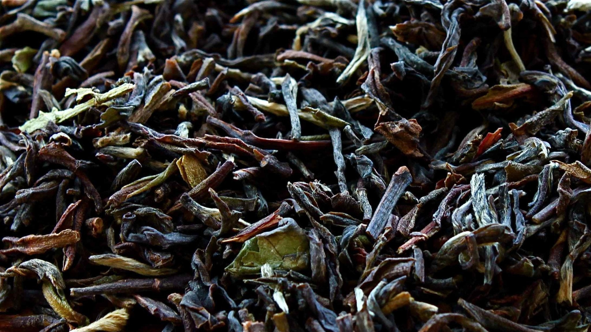 LEAVES OF HISTORY | Micro - Lots from O5's Past - O5 RARE TEA BAR