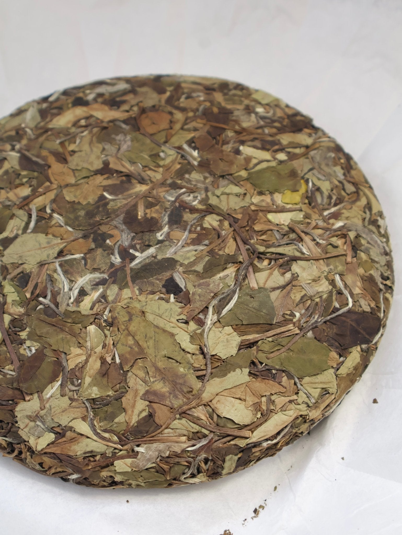 MEI XIANJING WHITE TEA | Intangible Cultural Heritage, 350g - O5 RARE TEA BAR