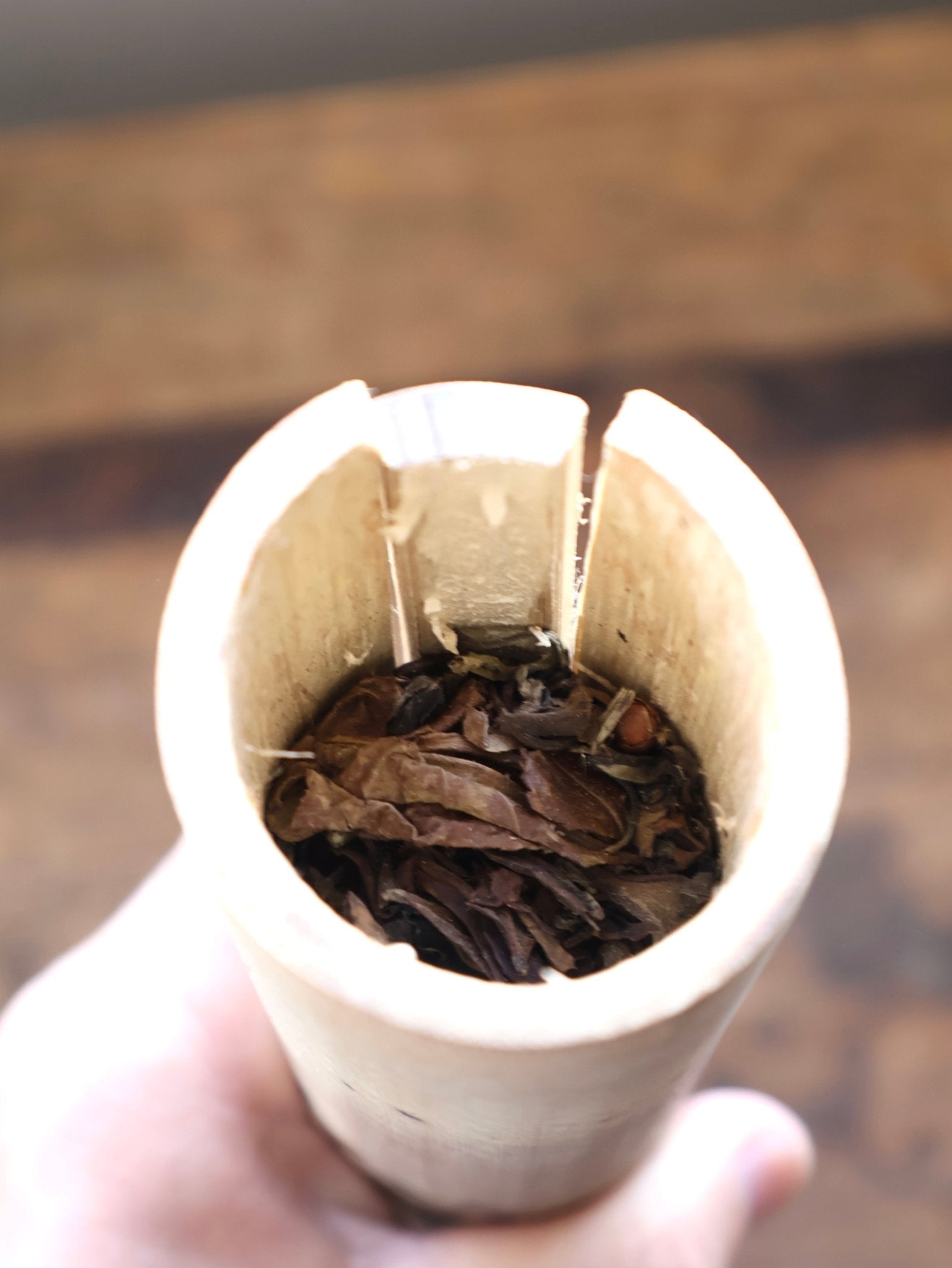 MOONLIT MIST | Bamboo Steamed, Ancient Tree (White) - O5 RARE TEA BAR