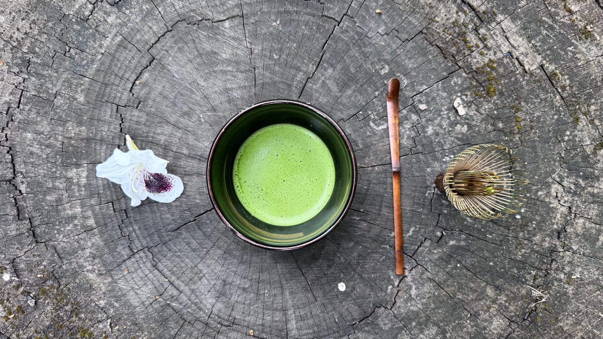 SHIBUSHI A - 25 MATCHA | DAILY CEREMONY - O5 RARE TEA BAR