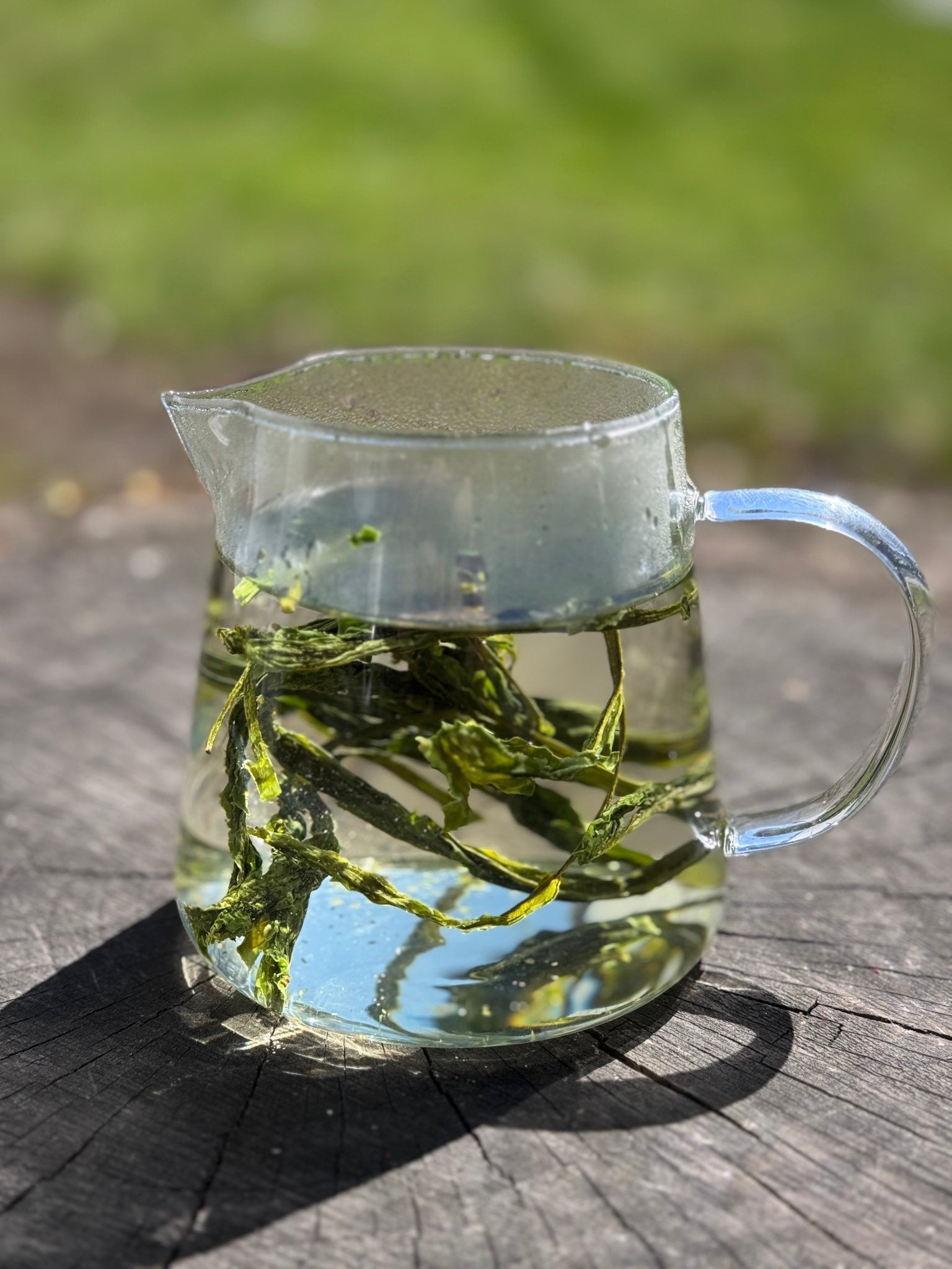 TAIPING HOUKUI (Monkey King) | Pre Qing Ming Green Tea - O5 RARE TEA BAR