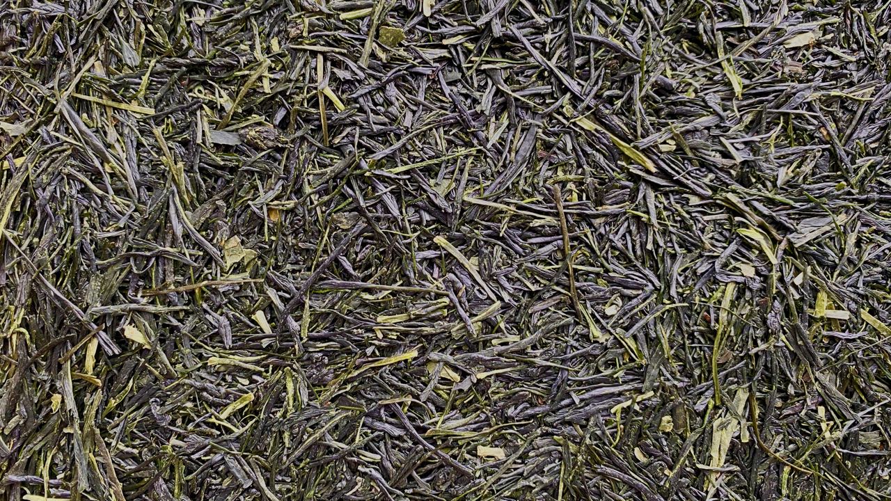 TAISHO | 100 y/o Tree Sencha - O - FIVE RARE TEA BAR