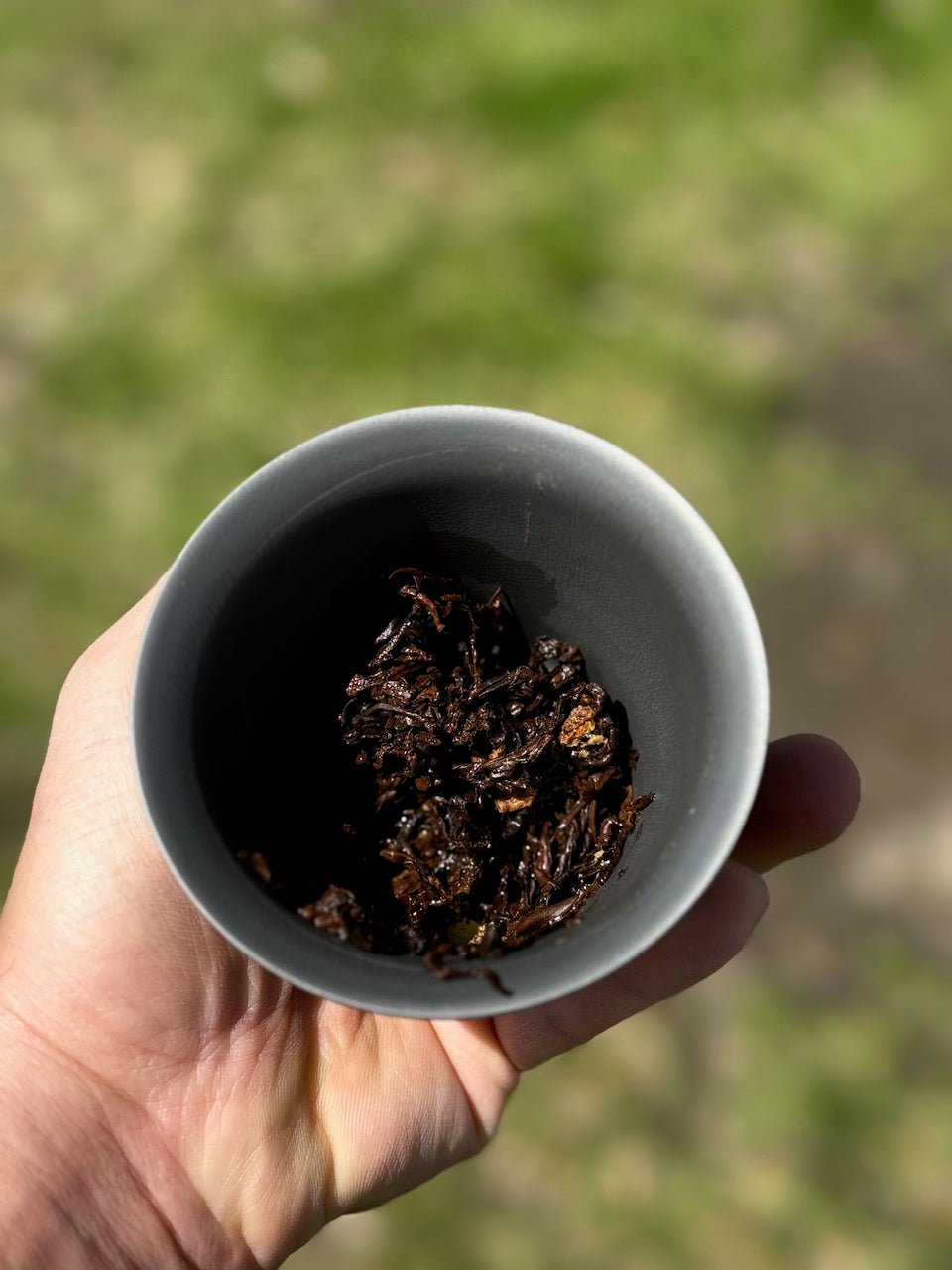 TANGERINE DREAM | TANGERINE + OLD TREE BLACK TEA - O-FIVE RARE TEA BAR