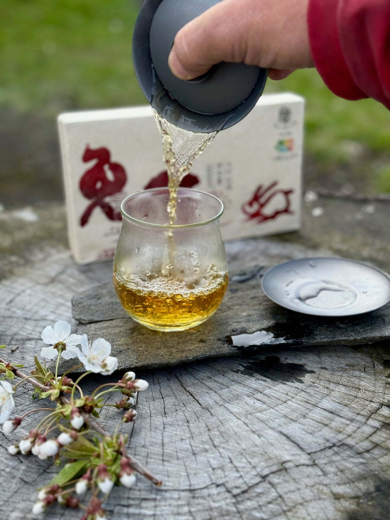 TIME HOPPING RABBIT | 2023 GUSHU BLACK TEA BRICK - O-FIVE RARE TEA BAR
