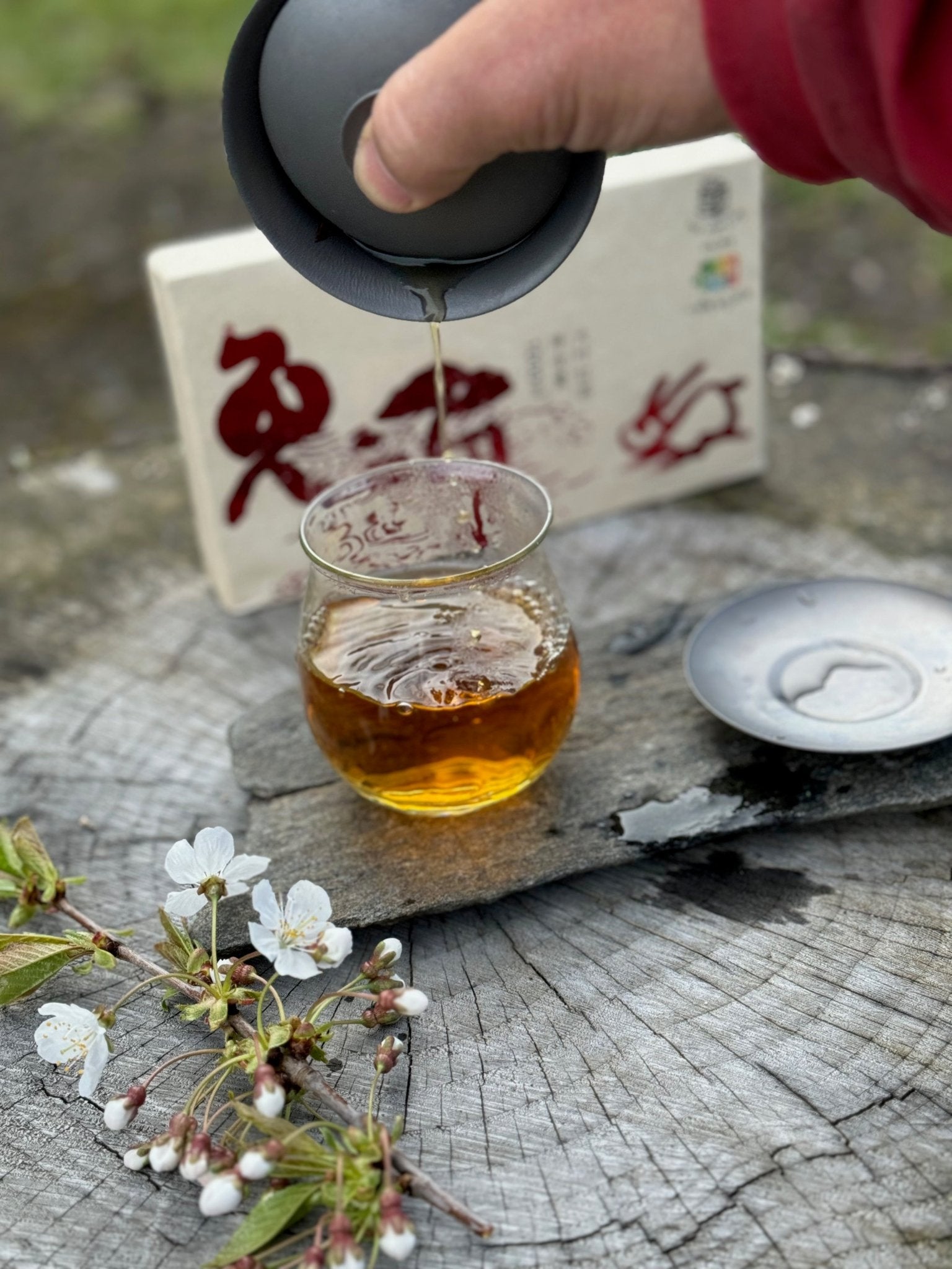 TIME HOPPING RABBIT | 2023 GUSHU BLACK TEA BRICK - O-FIVE RARE TEA BAR
