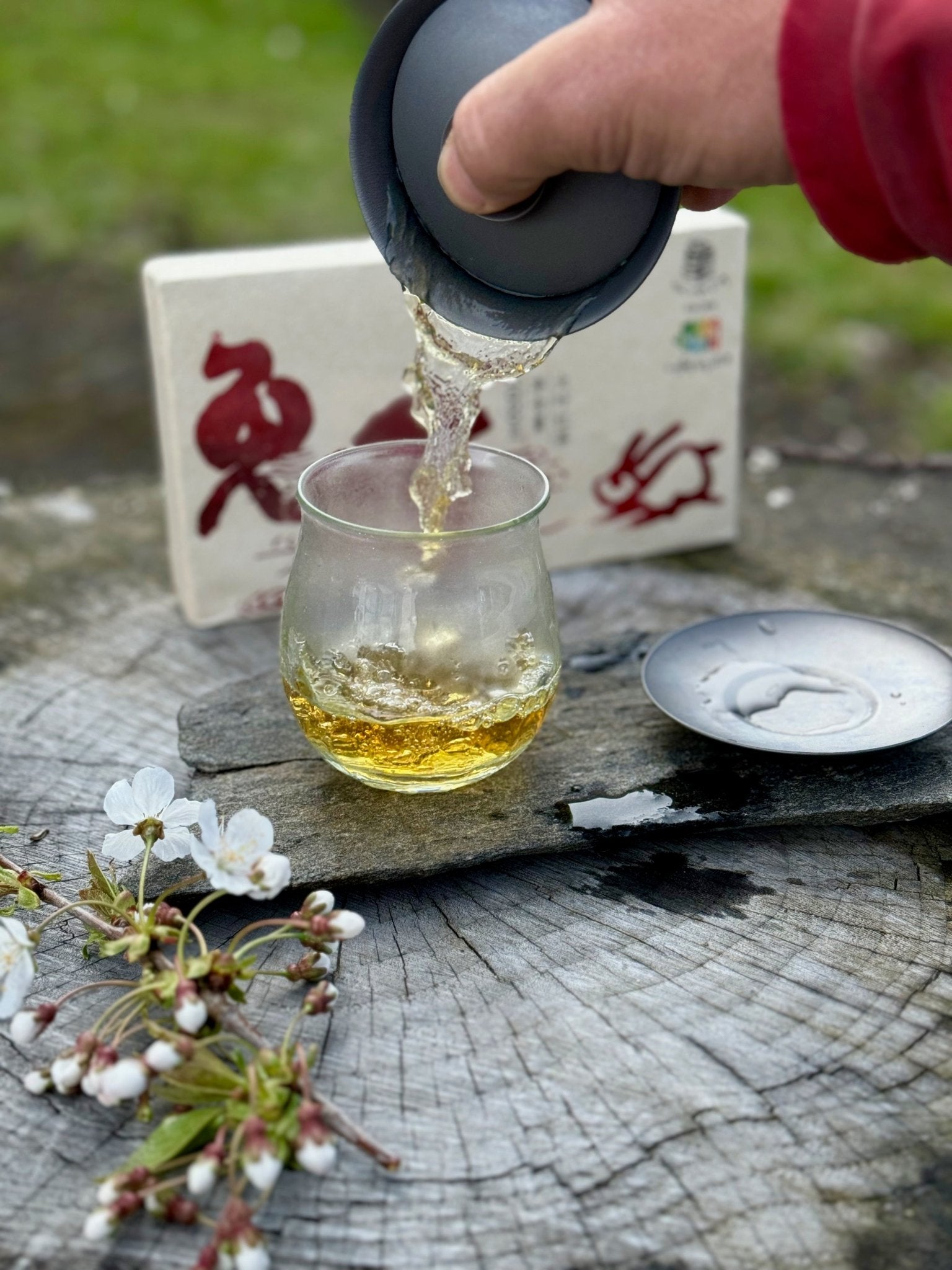 TIME HOPPING RABBIT | 2023 GUSHU BLACK TEA BRICK - O-FIVE RARE TEA BAR