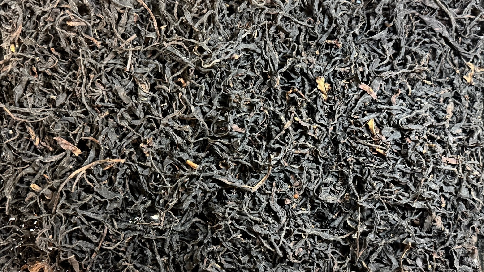 TIME TRAVELLER 2025 | Ancient Tree Red Tea - O5 RARE TEA BAR