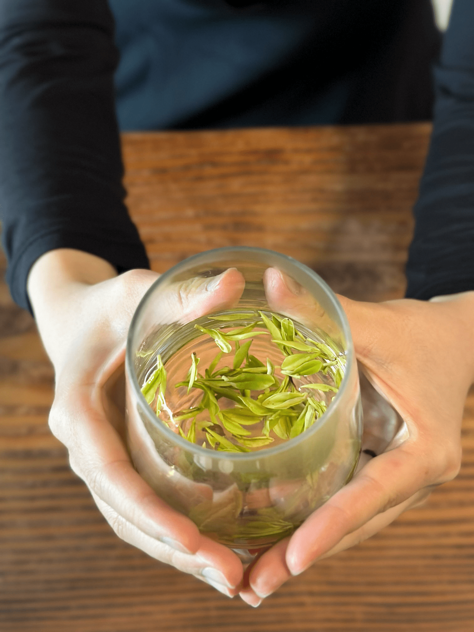 WHISPERING WOODLAND | 'Anji' Bai Cha - 2025 - O5 RARE TEA BAR