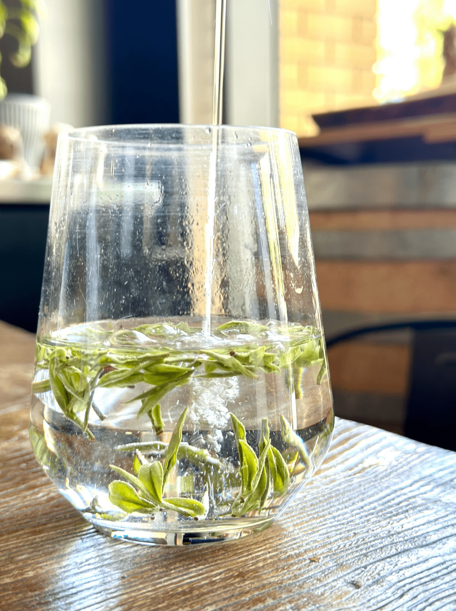 WHISPERING WOODLAND | 'Anji' Bai Cha - 2025 - O5 RARE TEA BAR