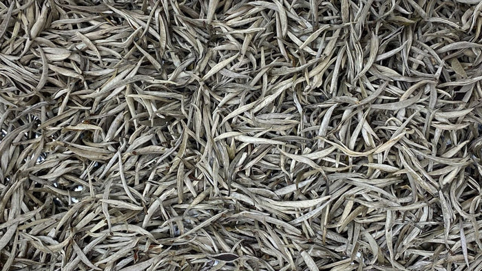 BAILEY'S SILVER NEEDLES | OLD TREE, VIETNAM - O-FIVE RARE TEA BAR