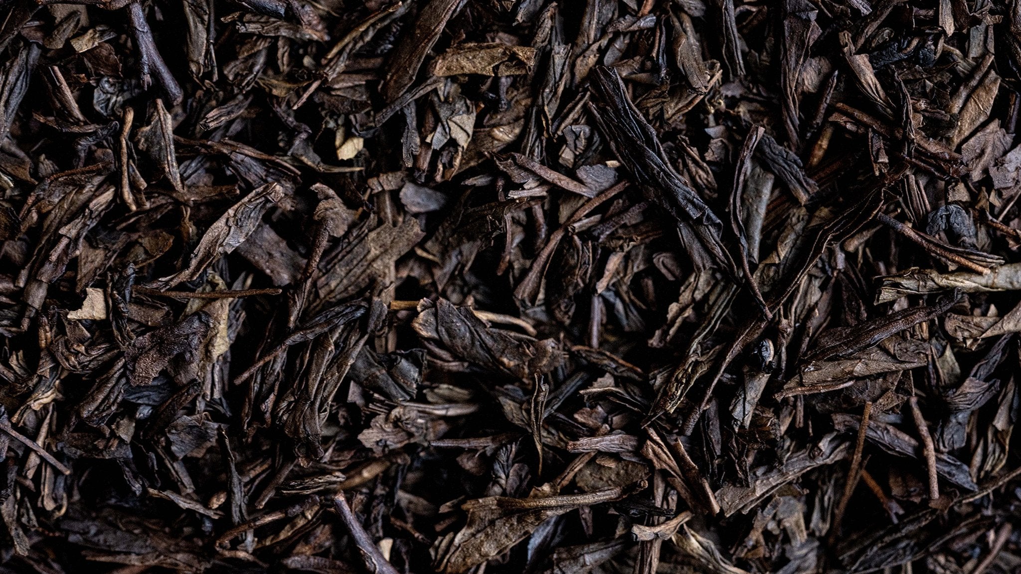 HOJICHA KIRISHIMA - O-FIVE RARE TEA BAR