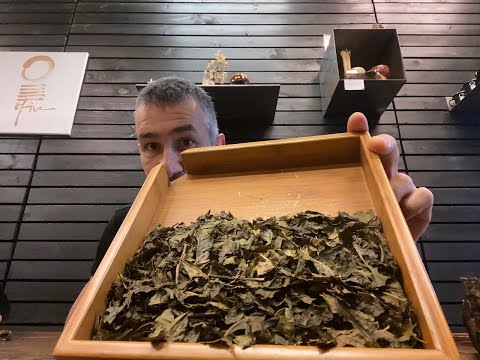 AWA BANCHA - ANAEROBICALLY FERMENTED DARK TEA | O5 RARE TEA BAR