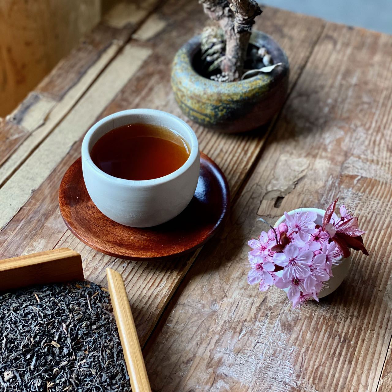 KOJI KUROCHA | 麹黑茶 - O-FIVE RARE TEA BAR