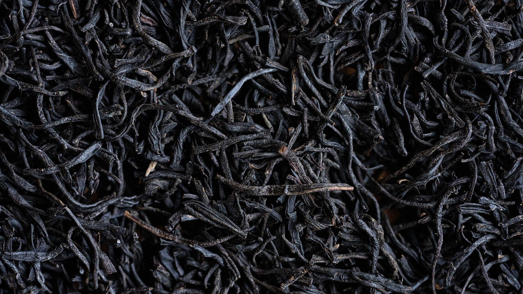 LEAVES OF HISTORY | Micro - Lots from O5's Past - O5 RARE TEA BAR