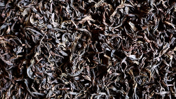OLD TRADITIONS | CHARCOAL ROASTED, HEIRLOOM TIE GUANYIN - O-FIVE RARE TEA BAR