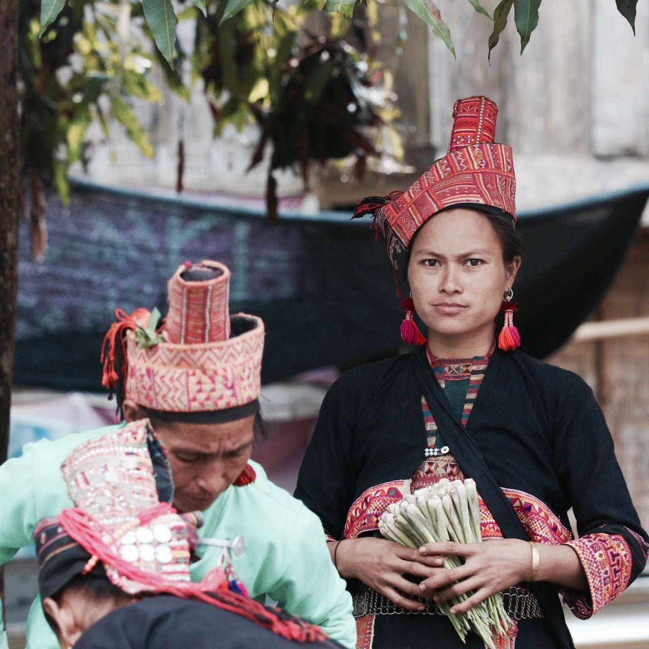 PHONGSALY OLD TREE (NOT) PU ER | 2016 - O5 RARE TEA BAR