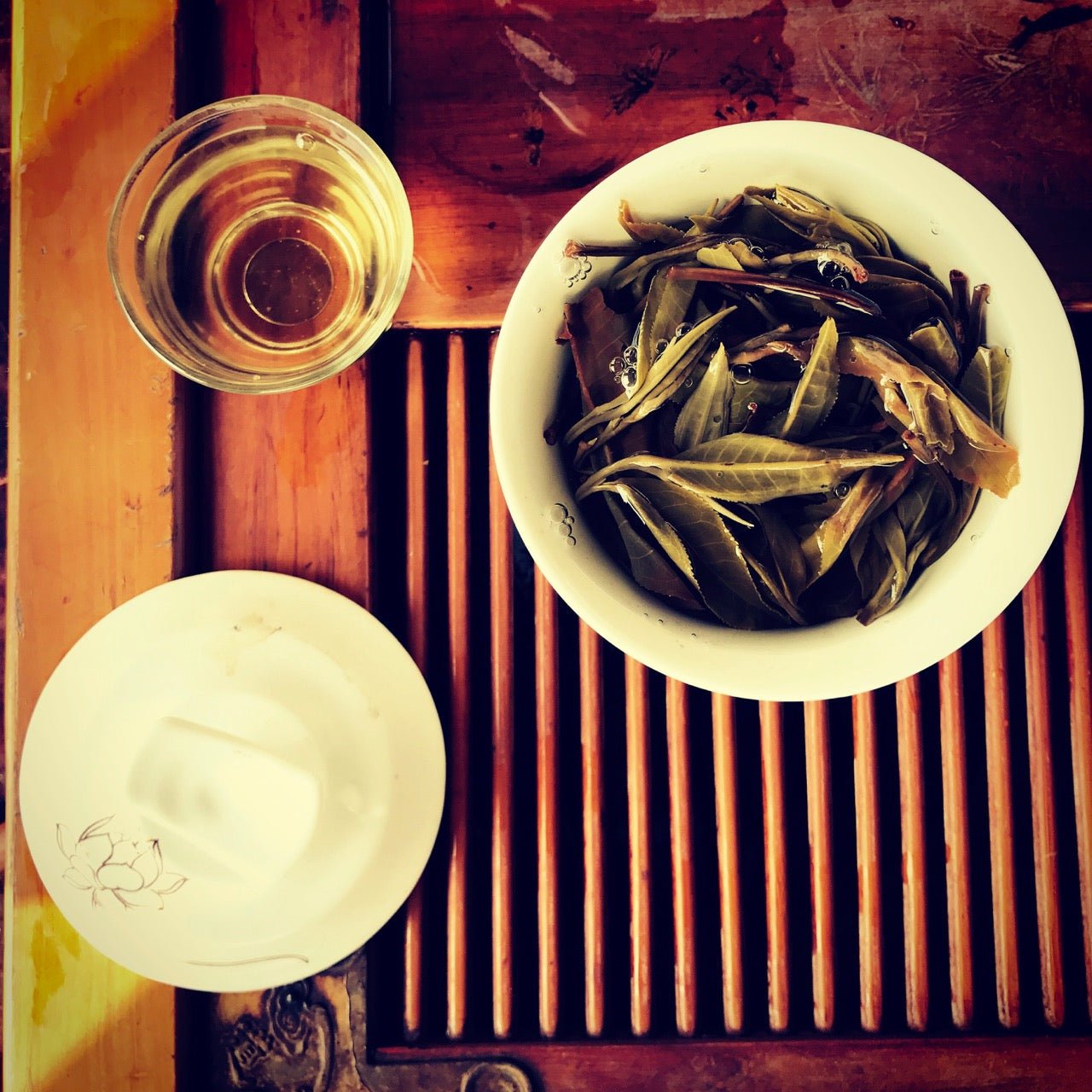 PHONGSALY OLD TREE (NOT) PU ER | 2016 - O5 RARE TEA BAR