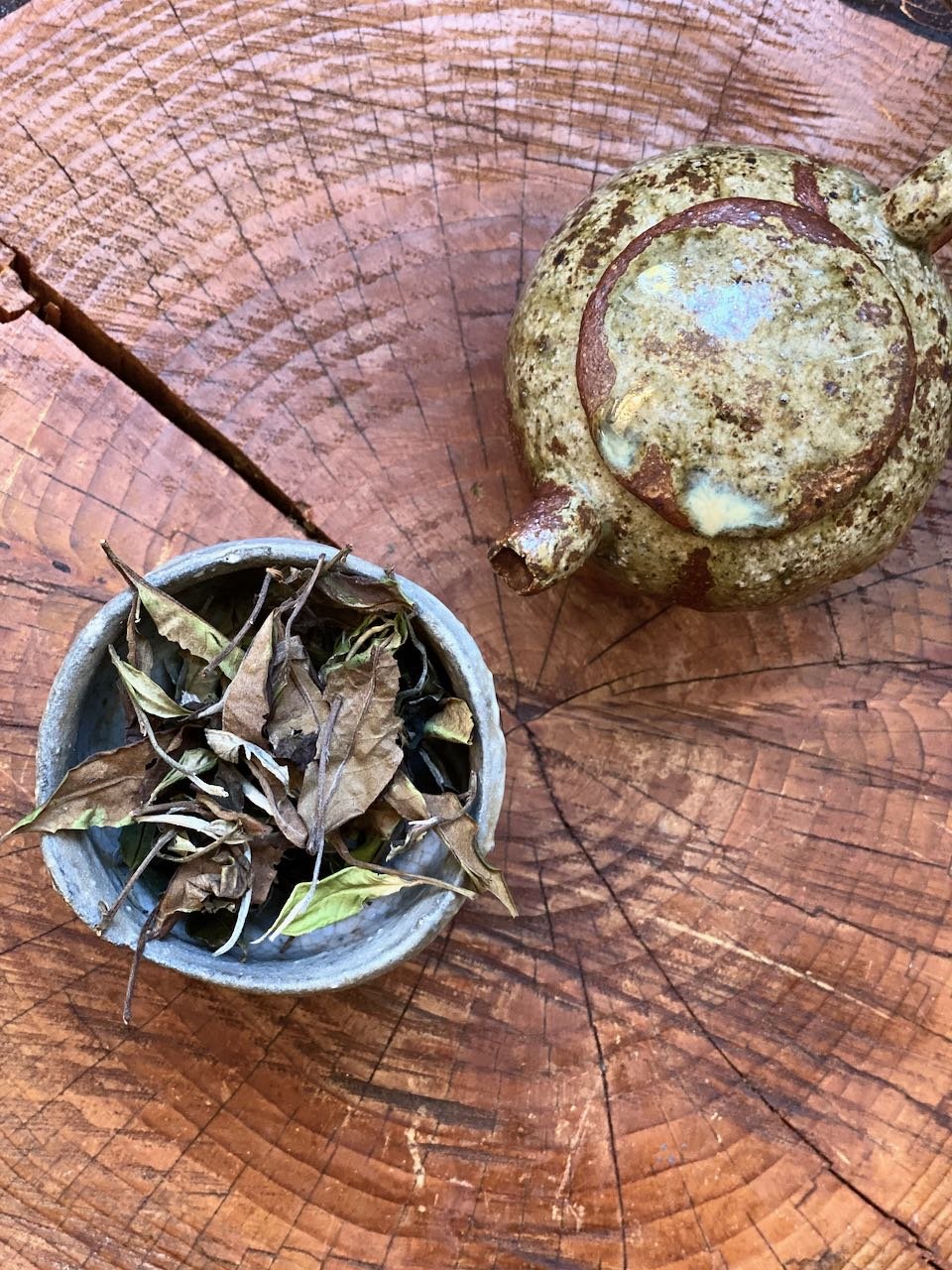 SPIRIT TREE | VIETNAMESE WILD WHITE TEA - O-FIVE RARE TEA BAR