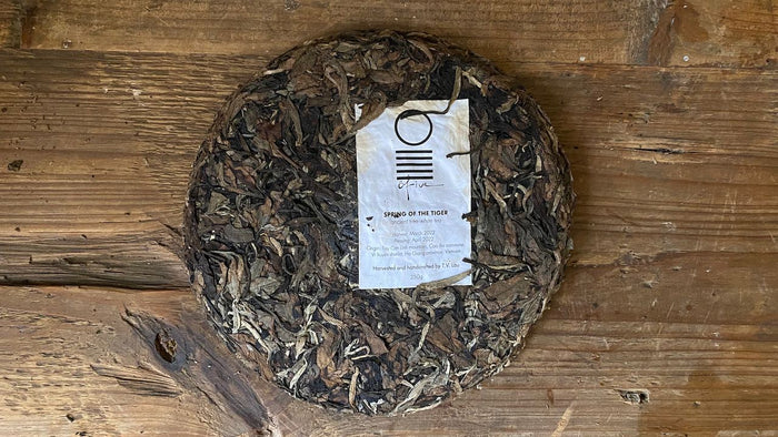 SPRING OF THE TIGER | WHITE TEA 250g - O-FIVE RARE TEA BAR