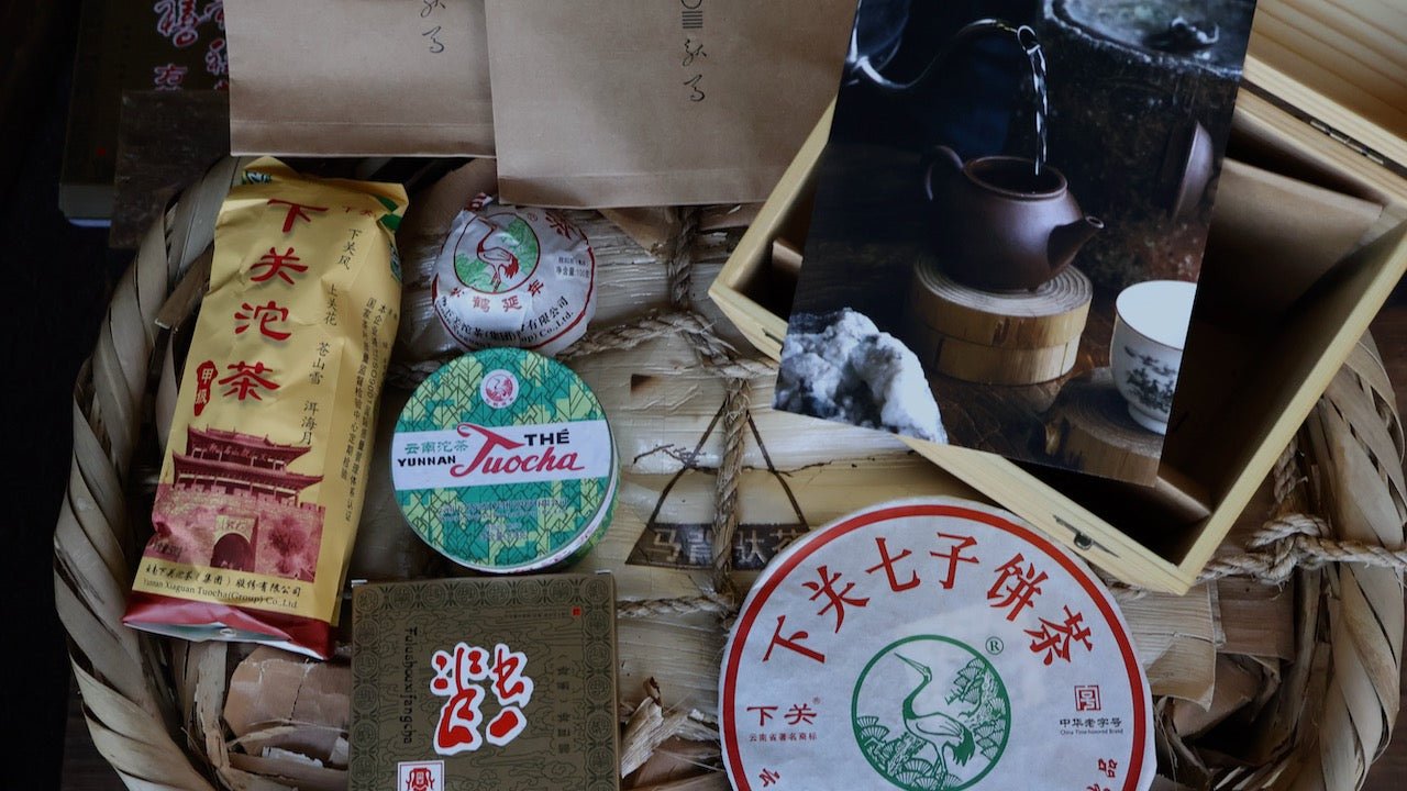 TEA COLLECTION AND STUDY GROUP | Xiaguan Tuo Cha Pu Er, 01.24-06.24 - O-FIVE RARE TEA BAR