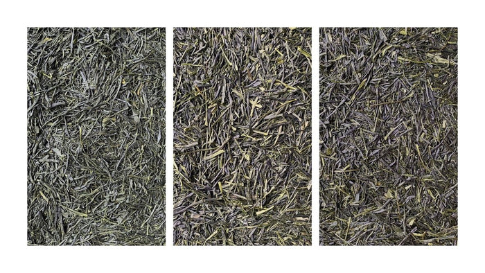 Wazuka Tasting Flight - O-FIVE RARE TEA BAR