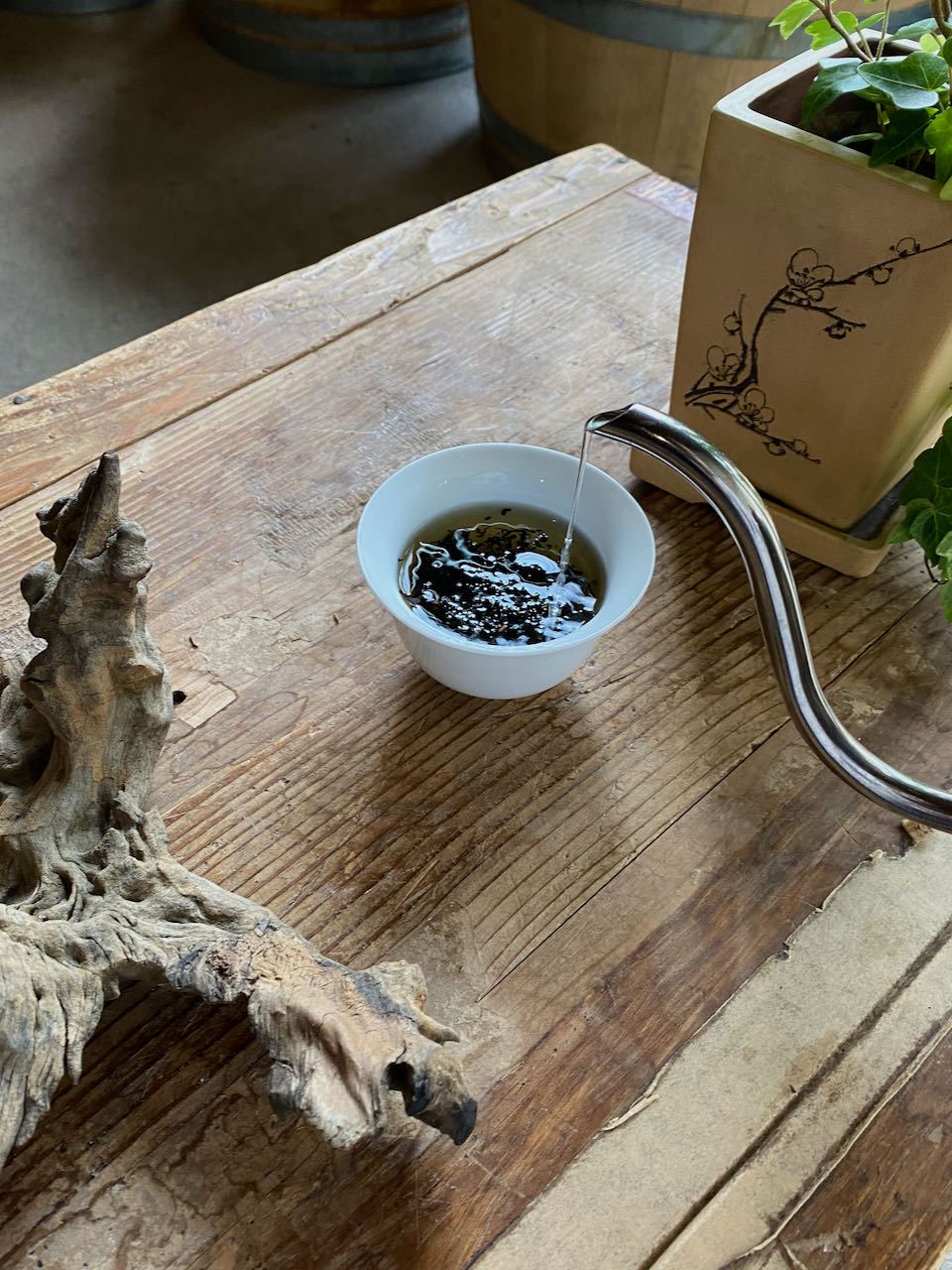 Wild Blueberry (Leaf) 'Tea' - O-FIVE RARE TEA BAR