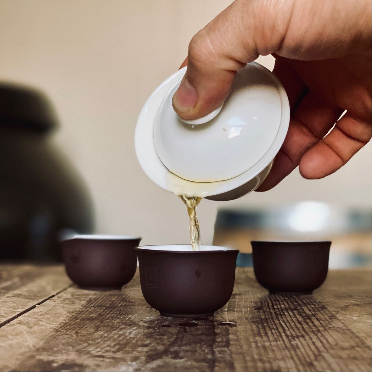 WILD BUSH - NATIVE TAIWANESE BLACK TEA | O5 RARE TEA BAR