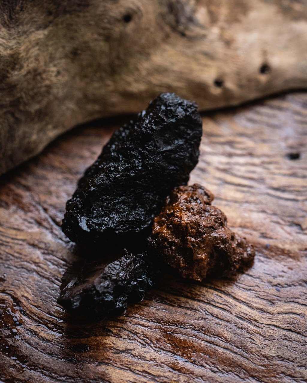 Wild Crafted Chaga - O-FIVE RARE TEA BAR